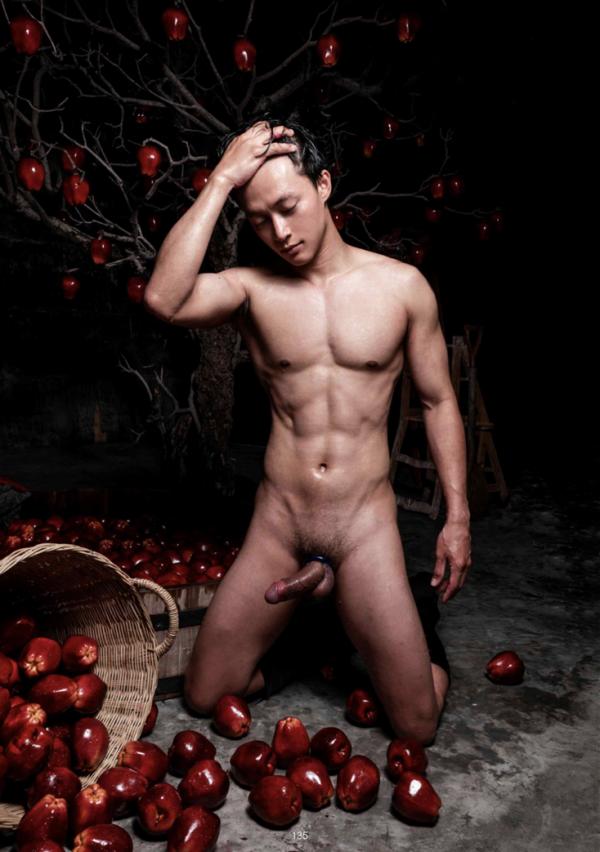 XPERIMENT-16--The-Apple-Picker